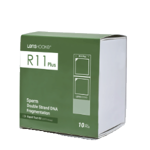 R11 PLUS